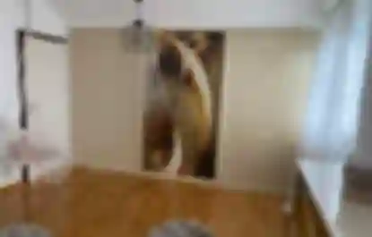 Izrada namještaja po mjeri